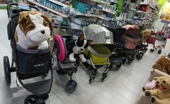 Pet Shop | Centro Pet Argentina | Acuario