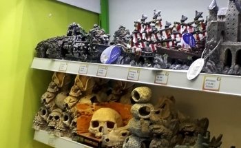 Pet Shop | Centro Pet Argentina | Acuario