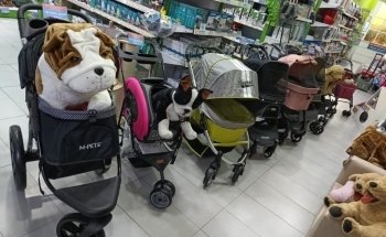 Pet Shop | Centro Pet Argentina | Acuario
