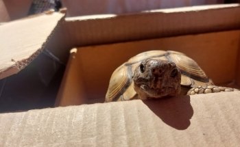 Pet Shop | Centro Pet Argentina | Acuario
