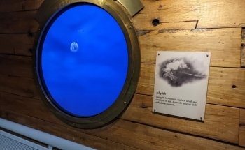 Polk Penguin Conservation Center