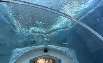 Polk Penguin Conservation Center
