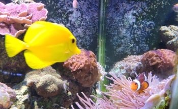 St. Lucie County Aquarium