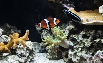 St. Lucie County Aquarium