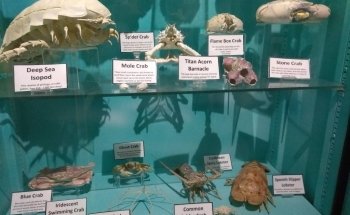 St. Lucie County Aquarium