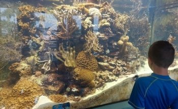 St. Lucie County Aquarium