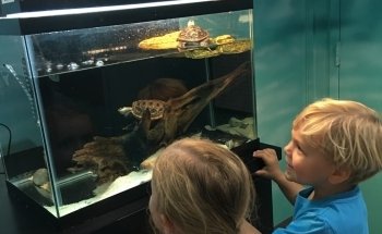St. Lucie County Aquarium