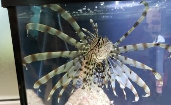 St. Lucie County Aquarium