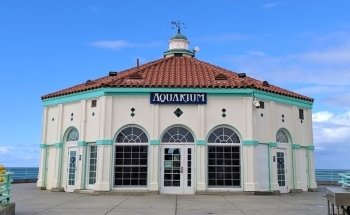 Acuario Roundhouse