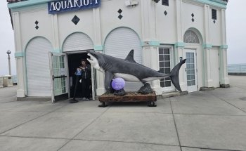 Roundhouse Aquarium