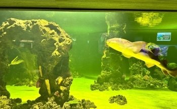 Daytona Aquarium & Rainforest Adventure