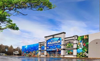 Acuario de Daytona y Aventura en la Selva Tropical