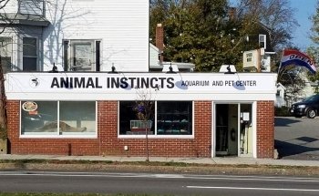 Acuario y Centro de Mascotas Instintos Animales