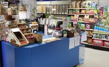 Animal Instincts Aquarium and Pet Center