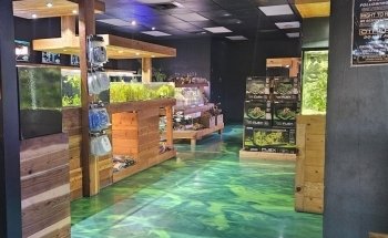 Kona Reef Az - Surprise