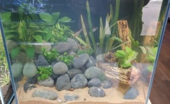 Rivers to Reefs Aquariums
