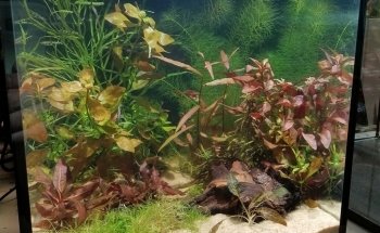 Rivers to Reefs Aquariums