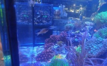 Splash Aquarium