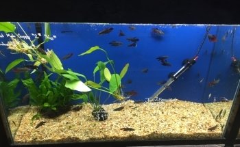 Splash Aquarium