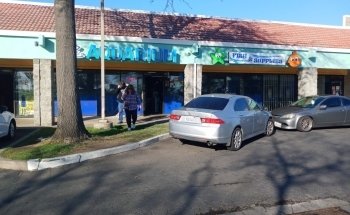 Acuario Splash