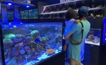Splash Aquarium