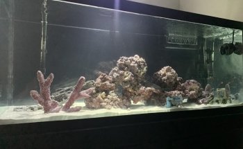 Splash Aquarium