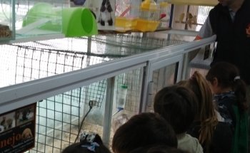 The Ark Pet Shop