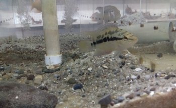 Fishy Business Aquarium