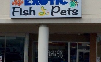 Peces Exóticos y Mascotas