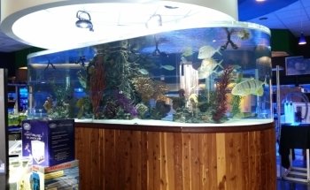 The Fish Crew