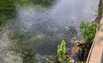 The Meadows Center for Water and the Environment