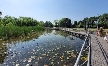 The Meadows Center for Water and the Environment