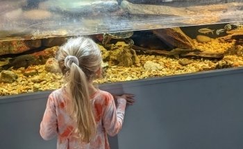 The Meadows Center for Water and the Environment