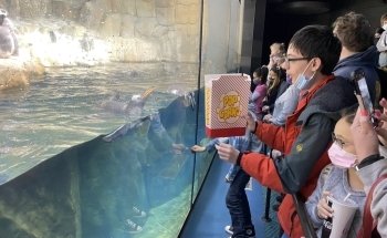 Suzanne and Walter Scott Aquarium