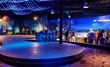 VIA Aquarium