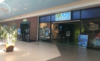 VIA Aquarium