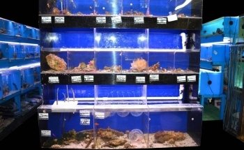 Lovely Pets Aquarium