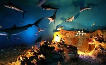 Museum of Coastal Carolina