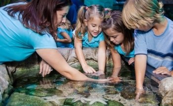 SEA LIFE San Antonio