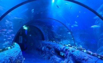 SEA LIFE San Antonio