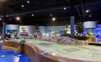 Living Shores Aquarium