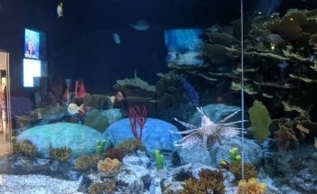 Living Shores Aquarium