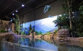 Living Shores Aquarium