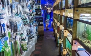 Tropical Lagoon Aquarium