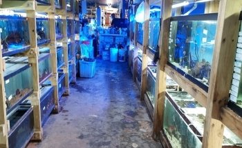 Tropical Lagoon Aquarium