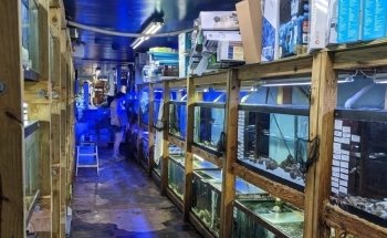 Tropical Lagoon Aquarium