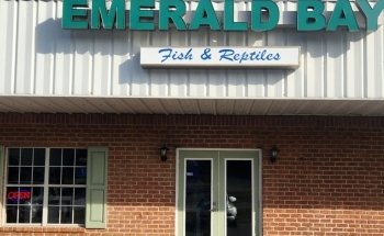 Bahía Esmeralda Peces y Reptiles