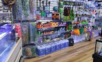 Emerald Bay Fish & Reptile