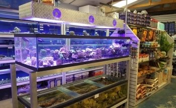Emerald Bay Fish & Reptile