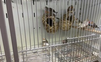 Seascape Aquarium & Pet Center